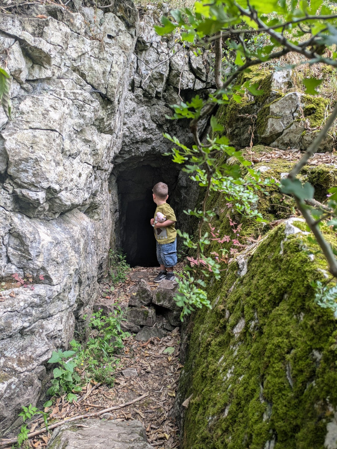 More Peak District Adventures: Buxton, Bakewell, Monsal Trail, Ravenstor & Tideswell Dale